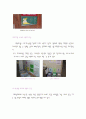 도큐 그룹의 그린마케팅 11페이지