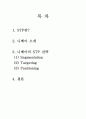 니베아 STP 조사 2페이지