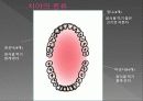 소화기계 요약 정리 9페이지