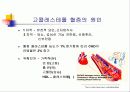 고지혈증 심장병 15페이지