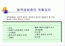 고지혈증 심장병 26페이지