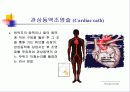 고지혈증 심장병 35페이지