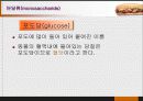 당질 (Carbohydrates)에 대해 7페이지