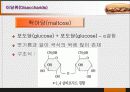 당질 (Carbohydrates)에 대해 14페이지
