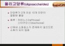 당질 (Carbohydrates)에 대해 16페이지