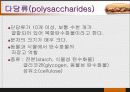 당질 (Carbohydrates)에 대해 18페이지