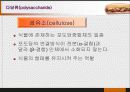 당질 (Carbohydrates)에 대해 25페이지
