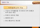 당질 (Carbohydrates)에 대해 58페이지