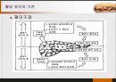 당질 (Carbohydrates)에 대해 62페이지