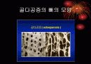 School Health-100 7페이지