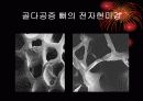 School Health-100 14페이지