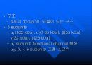 근수축 관련 5페이지