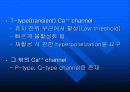 근수축 관련 9페이지