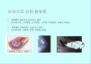 체조성(Body composition) 23페이지