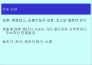 체조성(Body composition) 48페이지
