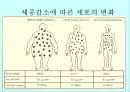 체조성(Body composition) 53페이지