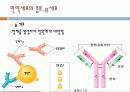 면역의 이해 9페이지