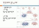 면역의 이해 10페이지