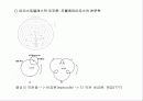 물리학의 역사 6페이지