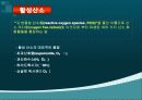 활성산소 (reactive oxygen species, ROS) 3페이지