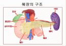 당뇨병의 정의 임신성 당뇨 발병 위험요인 5페이지