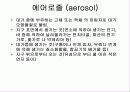 보건론 요약정리 27페이지