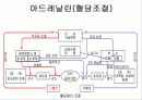 보건론 요약정리 41페이지