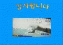경기력 향상을 위한 전문 체력 트레이닝 방법,근력, 근 지구력, 근 파워, 심폐지구력 26페이지