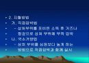 School Health 4페이지