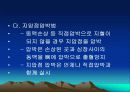 School Health 5페이지