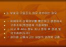 School Health 8페이지