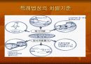 School Health 27페이지