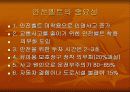 School Health 33페이지