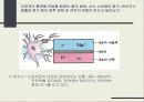 신경계 (nervous system nerve, 神經系)  5페이지