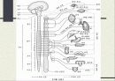 신경계 (nervous system nerve, 神經系)  14페이지