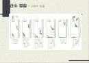 신경계 (nervous system nerve, 神經系)  24페이지