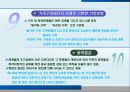 가족체계의 이해(PPT) 14페이지