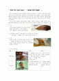 EBS 아기 성장 보고서 세상을 위한 첫걸음 1페이지