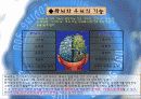 창의 공학 설계 발표자료1 16페이지