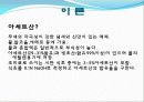 식초 중의 아세트산의 정량 5페이지