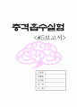충격흡수실험 1페이지