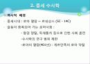 수사학의 전통과 작문이론 9페이지