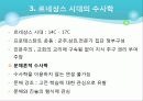 수사학의 전통과 작문이론 12페이지