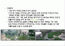 도시설계 -롯본기힐, 은평 뉴타운 24페이지