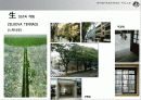 도시설계 case study(오모테산도힐즈) 9페이지
