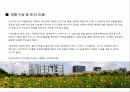 도시설계 case study(일본 오다이바) 8페이지