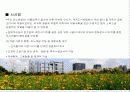 도시설계 case study(일본 오다이바) 22페이지