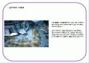 mxd case study(리베라 호텔, 시그마 타워, 모리타워, 오모테산도 힐즈) 28페이지