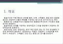강구조시스템(철골) 3페이지