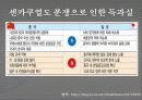 20세기 중일관계 11페이지